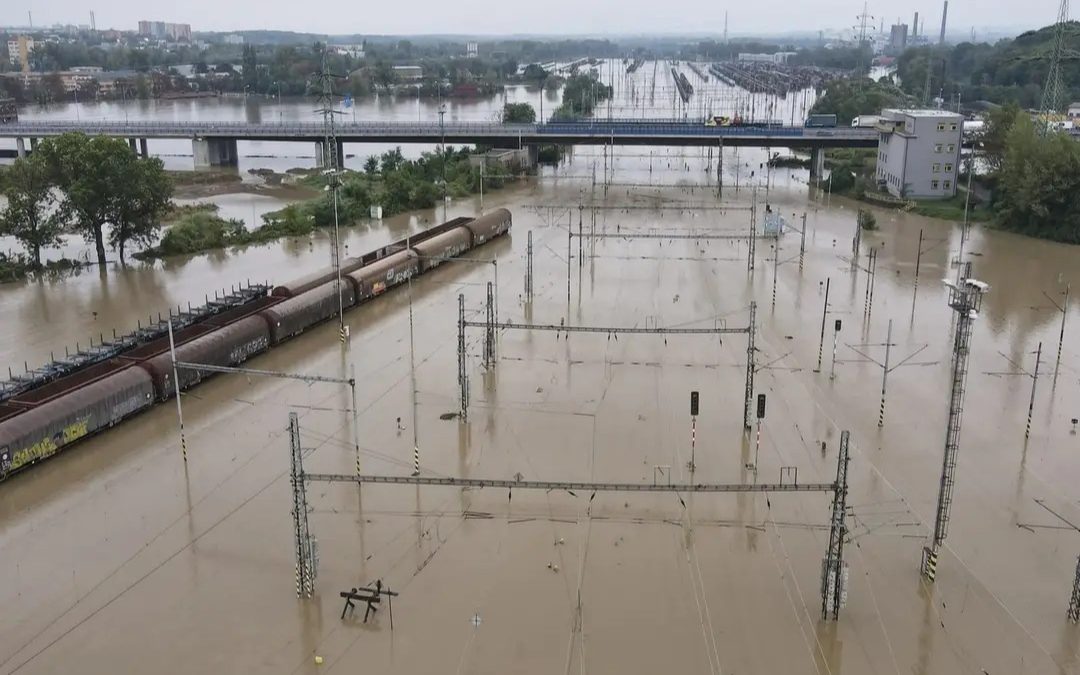 S PETkou do školy