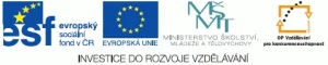 Logo RPIC