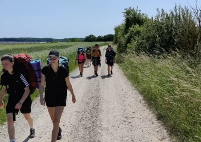 dofe zlato