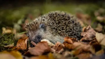 Kategorie 18-, 1. místo, Lucie Fabryová