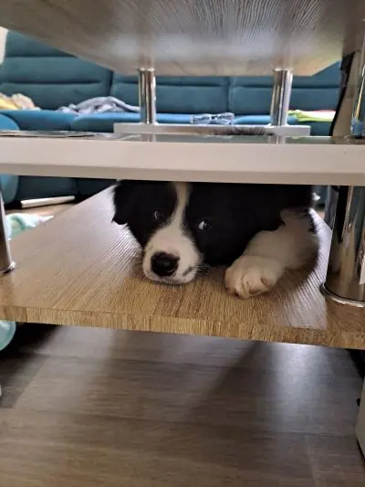 Kategorie 18-, 2. místo, Emma Benčová