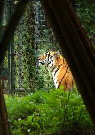 Kategorie 18-, 3. místo, Lucie Molková