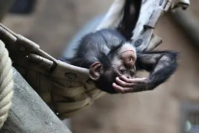 Kategorie 18-, 4. místo, Sandra Matelová