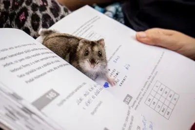 Kategorie 18-, 5. místo, Anežka Štajnerová