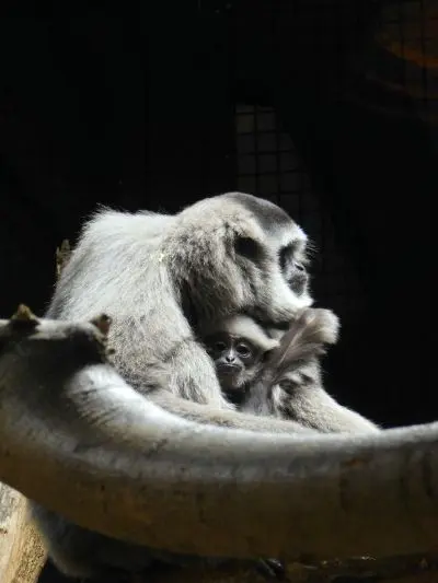 Cena ASK ČR, Tereza Navrátilová