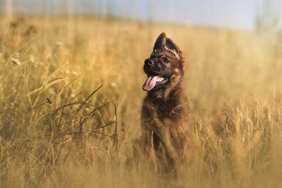 Kategorie 18+, 3. místo, Alena Kanková