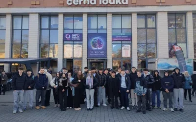 Od izolace po soláry