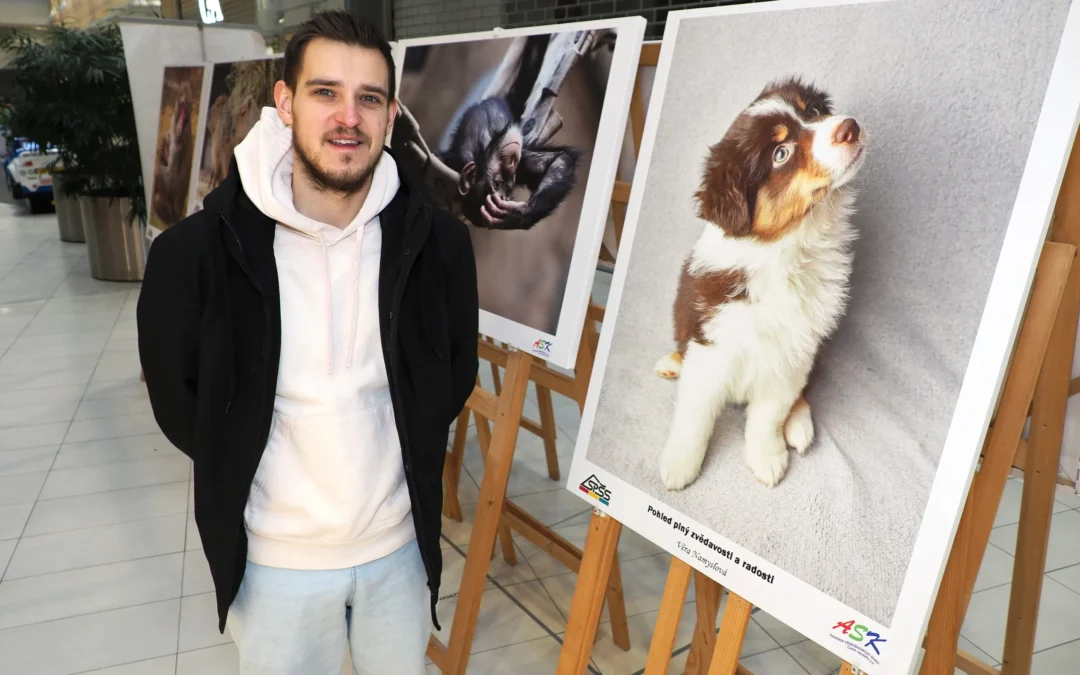 Obdivuj nejkrásnější mládě