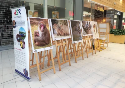 Výstava fotoobrazů v OC Avion Shopping park